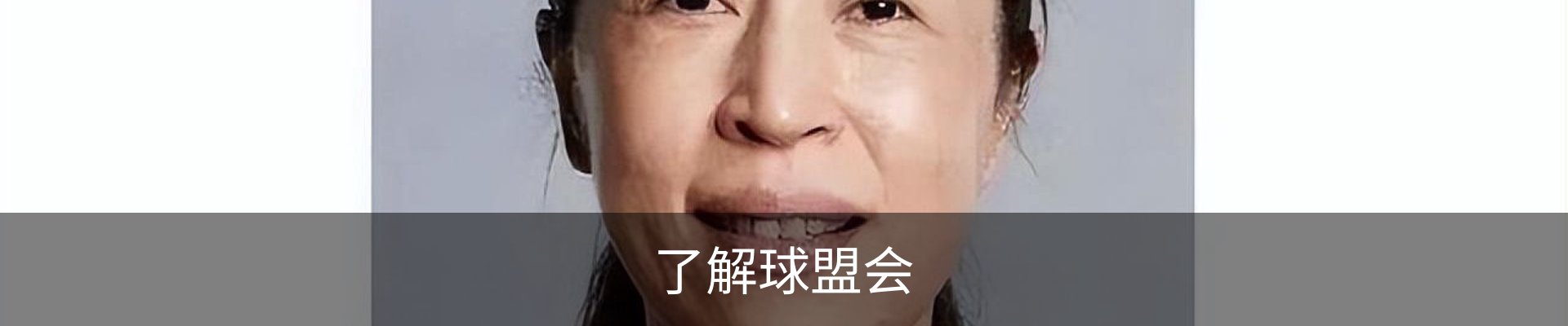 了解球盟会